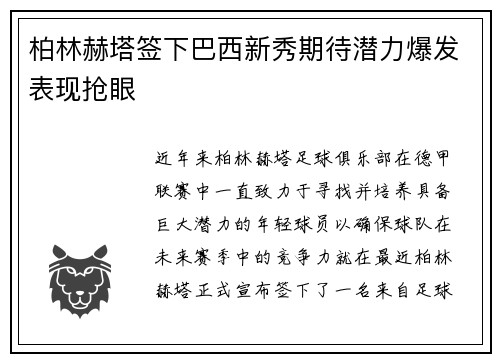 柏林赫塔签下巴西新秀期待潜力爆发表现抢眼